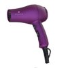 Small Lightweight Hair Dryer for Kids Compact Blow Dryer for RV and Travel 1000W Ionic Dryer with Concentrator