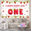 Strawberry First Birthday Party Decorations Berry Sweet Girls 1st One Birthday Backdrop Banner Girls Birthday Party Supplies Strawberry Backdrops Party Props