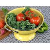 Calypso Basics by Reston Lloyd Powder Coated Enameled Colander, 3 Quart, Lemon
