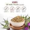 Organic Way Whole Milk Thistle Seeds (Silybum marianum) - European Wild-Harvest, Organic & Kosher Certified, Vegan, Non GMO & Gluten Free, USDA Certified, Origin - Albania (4 Oz)