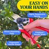 Haus & Garten PrecisionPRO 8" Titanium Pruning Shears - Heavy Duty Professional Bypass Pruner - Use As Rose Clippers, Premium Gardening Secateurs, Garden Scissors, Handheld Yard, Tree, & Plant Tool