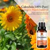 Calendula Essential Oil, 100% Pure Diffuser Oil Calendula Oil for Diffuser, Massage, Skin Care, Yoga - 30ML