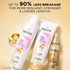 Pantene Pro-V Miracles Infinite Lengths Biotin + Collagen Sulfate-Free Shampoo 13.5 fl oz
