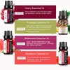 Essential Oil Gift Sets - 4 Pack 10ml
