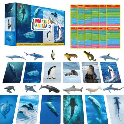 12 PCS Plastic Marine Animal Figurines with 12 Introduction Flashcards, Ocean Animals Learning Recognition Cards Realistic Undersea Animal Figures Educational Learning Toy Set for Kids, Classroom