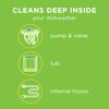 Affresh Dishwasher Cleaner, Helps Remove Limescale and Odor-Causing Residue, 6 Month Supply