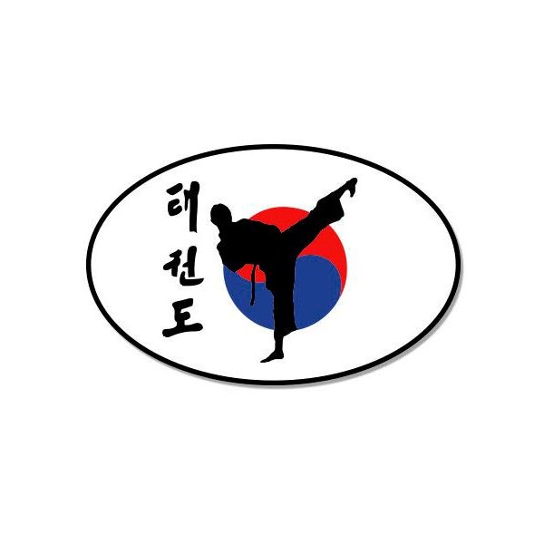 Taekwondo - 12" Vinyl Sticker Waterproof Decal