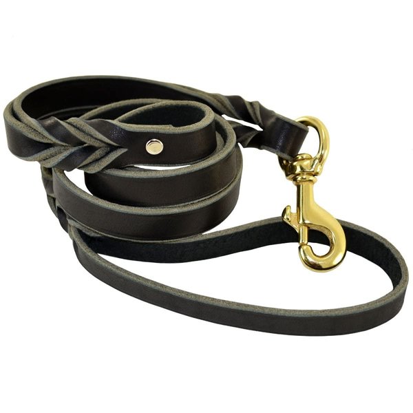 Ray Allen Mfg Signature K9 Double Handle Leather Leash (5', Black)