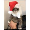 Prymal Comfort Santa Dog Cat Costume
