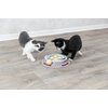 TRIXIE Junior Cat Activity Circle Track, Chase Track, Cat Toy, Interactive Toy