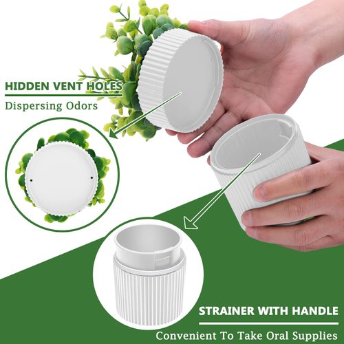 Denture Bath, Invisible Denture Case Designed As Artificial Eucalyptus Potted Plants, Denture Cup With Strainer For Retainer, Mouth Guard & Dentures, Perfect For Home Decoration…