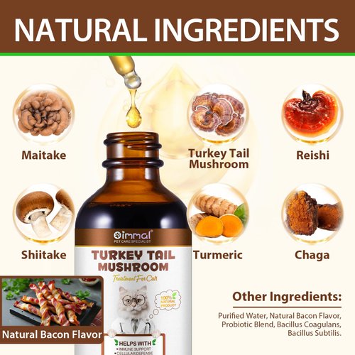Mushroom Drops for Cats, Natural Cat Immmune Mushroom Liquid Drop with Turkey Tail Mushroom Extract for Immune Support, Digestive & Joint Mobility, Pet Mushroom Herbal Supplement - 2 fl oz (60 ml)