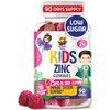 Zinc Gummies for Kids - Chewable Zinc Gummy Supplement for Children Immune Support - Low Sugar Natural Antioxidant Non-GMO Vitamin Chewables for Toddlers & Teens - 90 Gummies