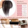 Clip in Bangs 100% Human Hair Extensions 360° Cover Clip on Bangs Real Human Hair for Women Fake Bangs for Daily Wear (Natural Black)