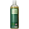 Real Aloe Aloe Vera Hair Shampoo with Argan Oil & Oat Beta, 16 Oz