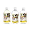 Frobabies Hair Honey Bubbles Moisturizing Shampoo (Shampoo)