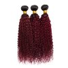 1B99J Bundles Ombre Kinky Curly Human Hair Bundles 8A Grade Brazilian Unprocessed Virgin Hair 3 Bundles 20 22 24 Inch Two Tone Black Wine Red Bundles Human Hair Extensions
