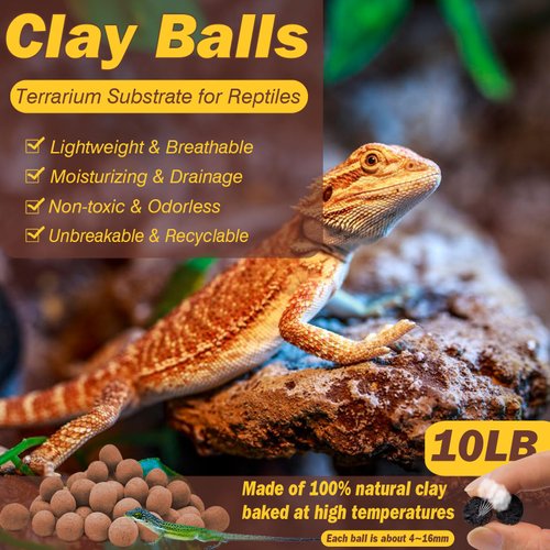 ZeeDix 2LBS Expanded Clay Balls for Reptile Terrarium Substrate - 100% Natural Lightweight Clay Pebbles Substrate, Bioactive Terrarium Substrate for Frogs Bearded Dragon Tortoises Snake Bedding