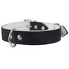 Dogs My Love Genuine Leather Felt Padded Dog Collar (18"-22.5" Neck; 1.25" Wide, Black)
