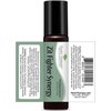 Plant Therapy Zit Fighter Essential Oil Blend Pre-Diluted Roll-On 10 mL (1/3 oz) 100% Pure, Therapeutic Grade