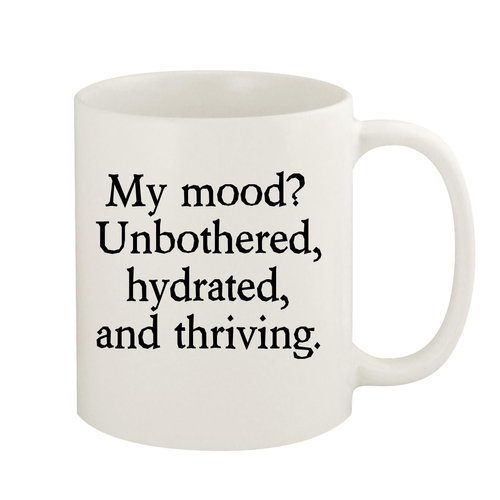 Knick Knack Gifts My Mood? Unbothered, hydrated, and Thriving. - 11oz Ceramic White Coffee Mug, White