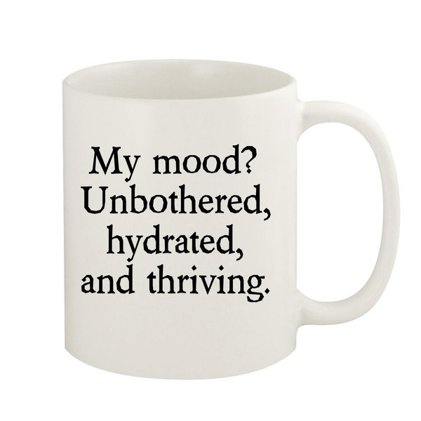Knick Knack Gifts My Mood? Unbothered, hydrated, and Thriving. - 11oz Ceramic White Coffee Mug, White