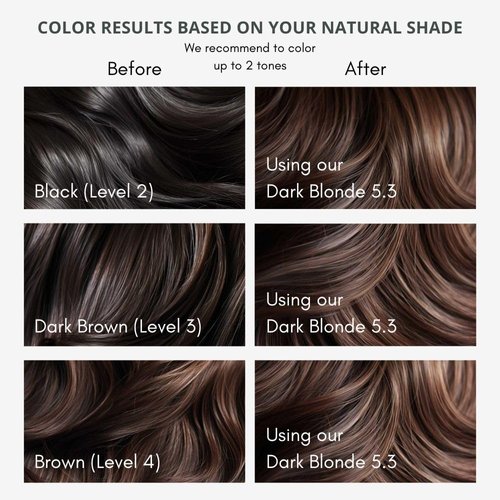 Naturigin Permanent Hair Color, 5.3 Dark Blonde, Ammonia and Paraben Free, up to 100% Gray Hair Coverage, Long Lasting, Vegan, Cruelty Free