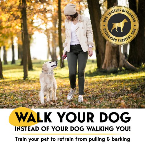 PetJett Prong Collar for Dogs - No Pull Choke Collar for Dogs, Pinch Collar for Dogs, Dog Training Collar & Dog Walking Tool for Small, Medium, or Large Breed - Stainless Steel Metal Dog Choker Chain