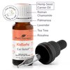 Plant Therapy KidSafe Ear Relief Essential Oil Ear Drops Blend Pre-Diluted 10 mL (1/3 oz) 100% Pure, Children Ear Oil Drops, Natural Eardrops, for Kids and Adults, Therapeutic Grade