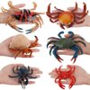 Realistic 6 PCS Ocean Sea Marine Animal Model Figures Crab Hermit Crab Family Party Favors Supplies Cake Toppers Set Toys for Boys Girls Kids