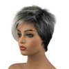 Wiginway 6'' Short Straight Wig for Women Ombre Gray Black Wigs Side Bangs Layered Punk Nightclub Party Wigs