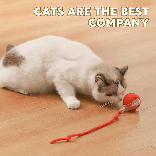 DVHNMK Chewie Viral Rolling Ball,Interactive Rolling Dog Ball Toy,Interactive Cat Ball Toy,Interactive Cat Dog Toys Ball Fast Rolling,360° Smart Automatic Rolling Pet Ball (Grey)