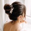 AW BRIDAL Flower Hair Clip for Wedding Hair Comb Barrette Bridal Hair Pieces Wedding Hair Accessories for Women Girls (Gold)
