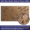 MothPrevention Powerful Moth Traps only for Clothes, Closets | Refillable | 3-Pack | Odor-Free & Natural | Moth Pheromone Traps for House