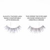 False Lashes for Monolids Starter Kit - Natural Eyelid Lifting Strip Eyelashes with Lash Applicator and Lash Adhesive - Best Lashes for Asian Eyes - Hannah Cho Beauty