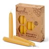 Hyoola Beeswax Candles 12 Pack - All Natural 100% Beeswax Tree Candles - 1/2 Inch Candles - Handmade in The USA - Yellow