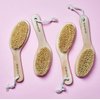 Skin Gym Dry Body Brush Exfoliating Bath Scrubber with Soft and Stiff Bristles For Cellulite Treatment, Lymphatic Drainage and Blood Circulation Improvement
