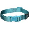 Zack & Zoey ⅝" Wide Nylon Dog Collar, Fits Necks 14" to 20", Bluebird