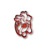 Heart Anatomy Cookie Cutter