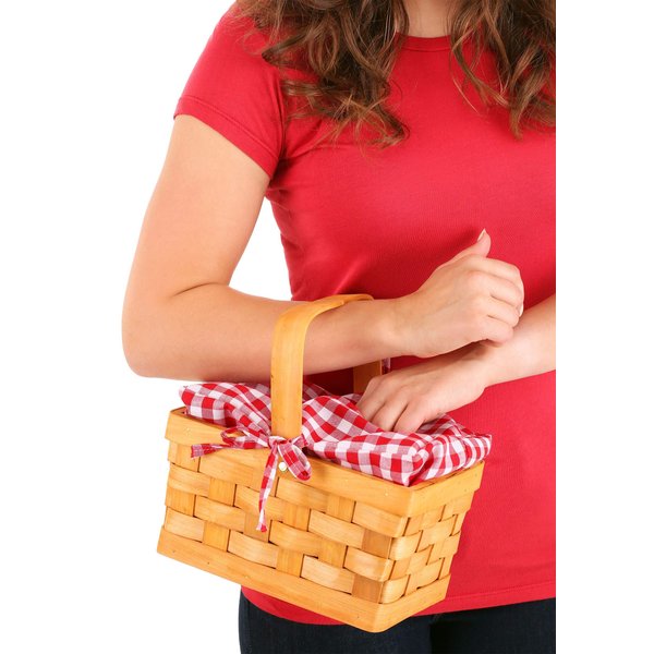 Fun Costumes Gingham Hand Basket Accessory Standard