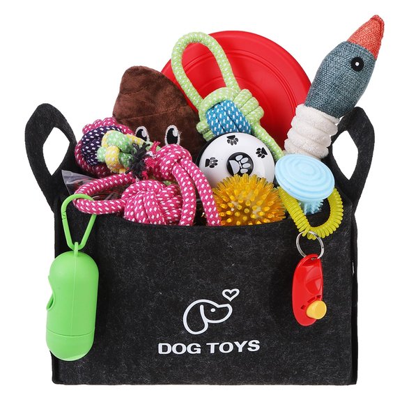 SCENEREAL Dog Toys Bulk 20 Pack, Puppy Squeaky Chew Toys for Busy Boredom, Chewing, Teething, Pet Plush Dolls Rope Ball Toys for Small Medium Dogs