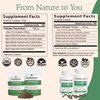 Real Mushrooms 5 Defenders Powder - Organic Mushroom Extract w/Chaga, Shiitake, Maitake, Turkey Tail, & Reishi - Supplement for Brain, Focus, & Immune Support - 45 Servings
