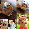 BTYMS 8 Pieces Mini Sombrero Party Hats Fiesta Party Decorations Party Supplies Sombrero Costume Hats for Table, Dolls, Dogs- 5.9 Inch