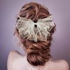 OIIKI 2 Pack Korean-Style Lace Mesh Barrette Hair Clips, Breathable Flower Dot Clips for Wedding, Party, Valentine's Day (Black, White)