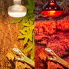 REPTI ZOO 2 Pack 100W Reptile Heat Lamp Bulbs,Upgraded Reptile Day and Night Basking Spot Bulb Combo Amphibian Infrared Heat Lamp Bulb/UVA Basking Spot Daylight Heating Light Bulb