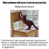 Elecpioneev Interactive Cat Toy for Indoor Adult Cats, Cat Ball Track Tower, Feather Toys for Indoor Cats,Mouse cat Toys (Blue)