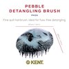 Kent PHOG Hedgehog Pebble Scalp Massager Shampoo Brush, Shower Brush, and Travel Size Detangling Brush - Scalp Scrubber for Dandruff and Kids Hair Brush Hair Detangler - Hairbrush for Tangles