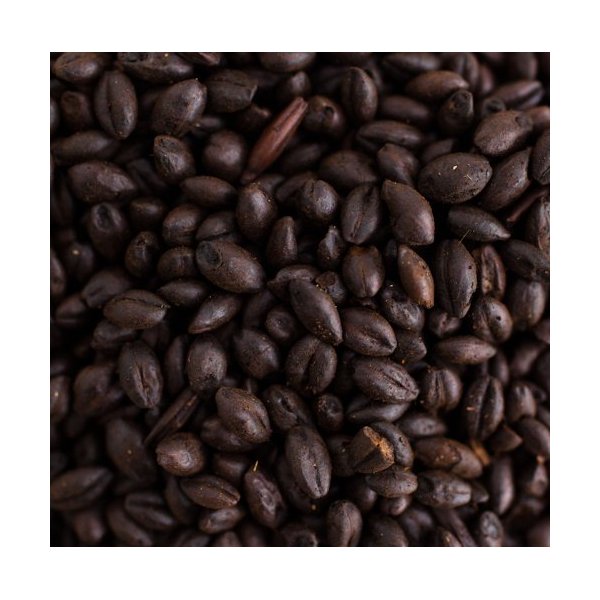Briess Black Malt 2-Row Home Brewing Malt Whole Grain 1lb Bag