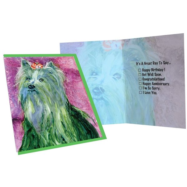Rainbow Card Company Six Occasions Greeting Card - Kiwi