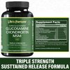 Life's Fortune Triple Strength Glucosamax - 1000mg Premium Glucosamine, Chondroitin and MSM Supplement with Vitamin C for Joint Comfort & Mobility, 120 Tab